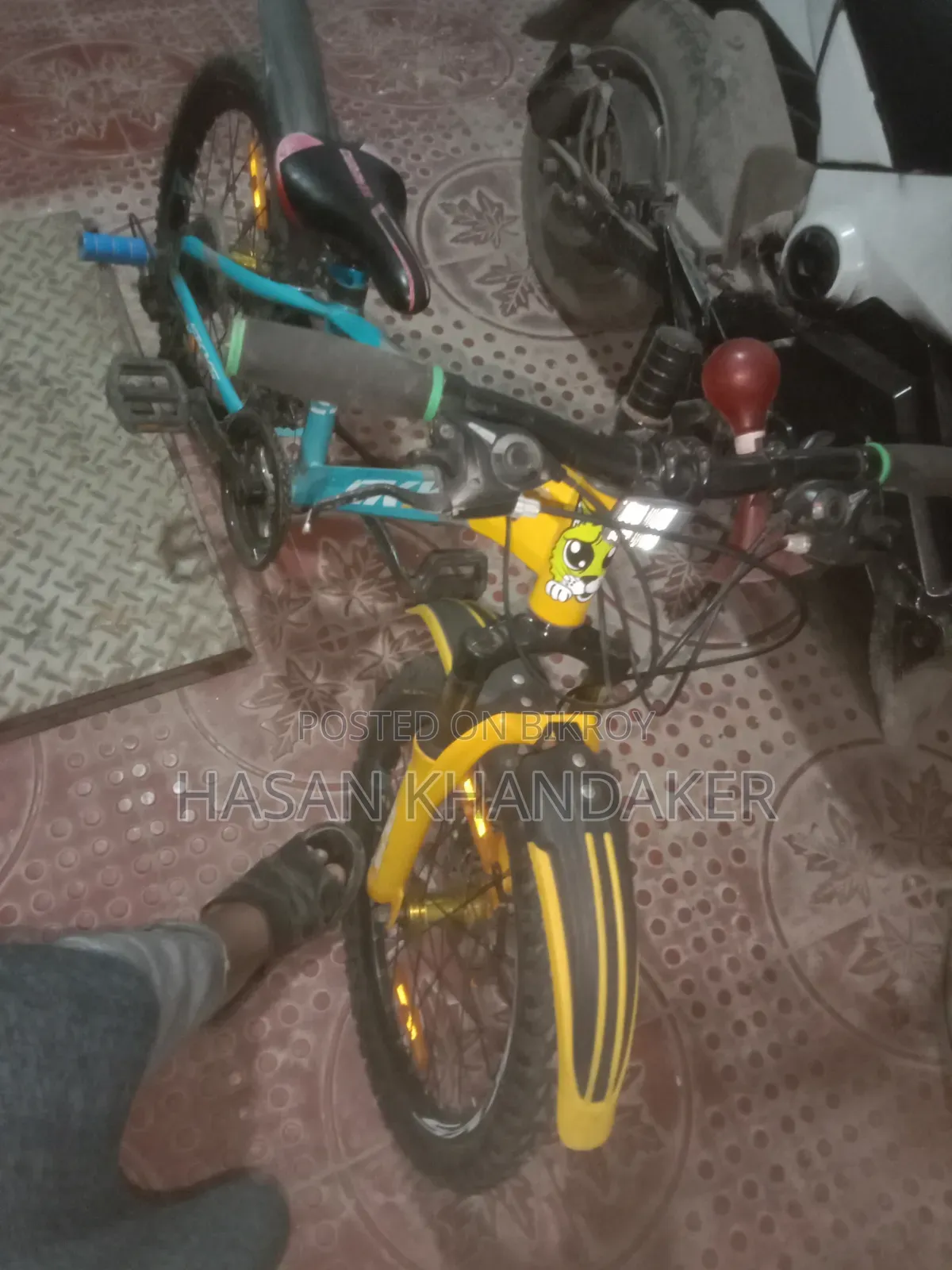 Bi Cycle 20 Inch
