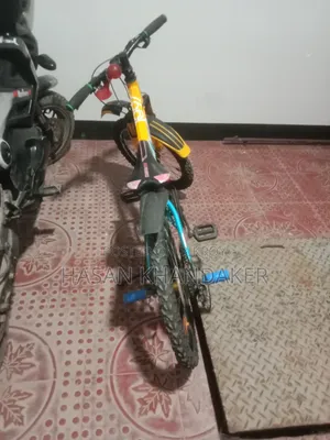 Bi Cycle 20 Inch