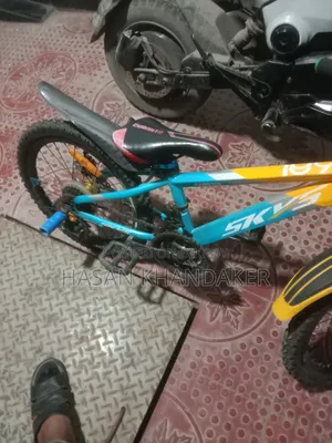 Bi Cycle 20 Inch