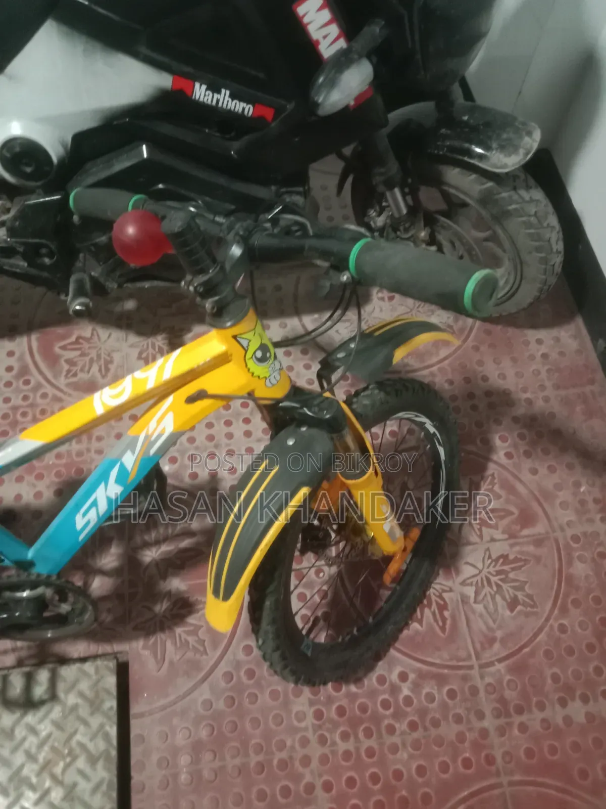 Bi Cycle 20 Inch