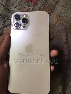 Apple iPhone 12 Pro Max 256 GB Rose Gold