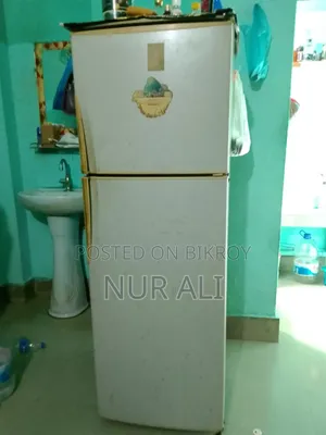 Old Fridge