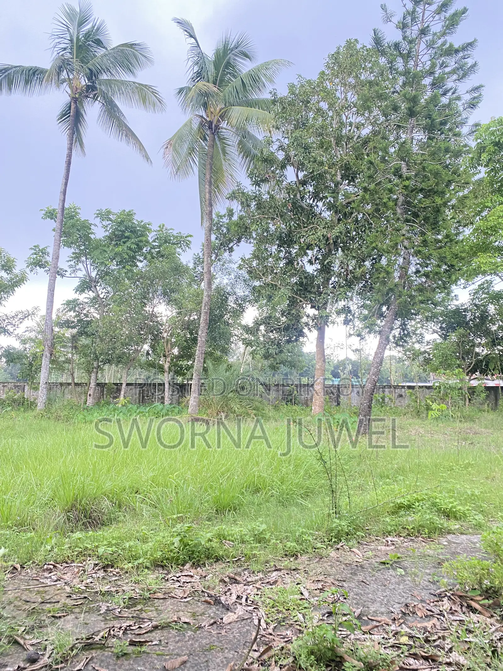 ২৮৬শতাংশ /১৭৩.০৯ কাঠা জায়গা আর্জেন্ট বিক্রি করা হবে।