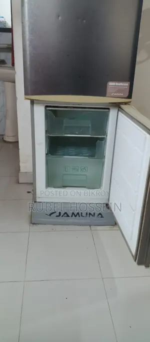 যমুনা ফ্রিজ