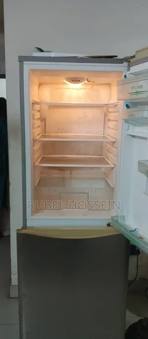যমুনা ফ্রিজ