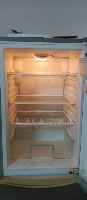 যমুনা ফ্রিজ