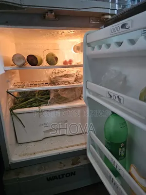 ফ্রিজার অরিজিনাল আগের