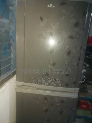 ফ্রিজার অরিজিনাল আগের