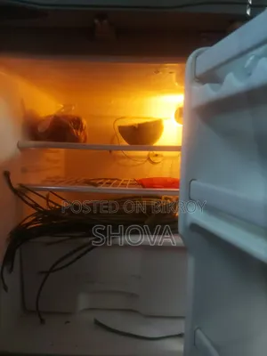 ফ্রিজার অরিজিনাল আগের