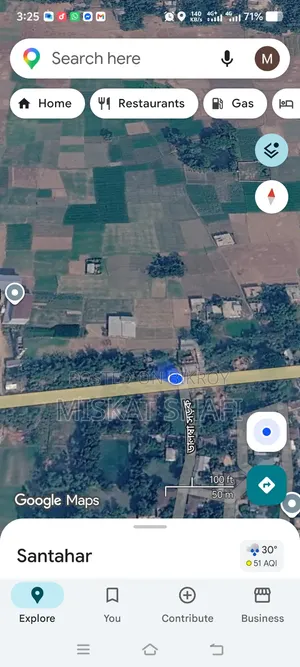 মাছের হ্যাচারি