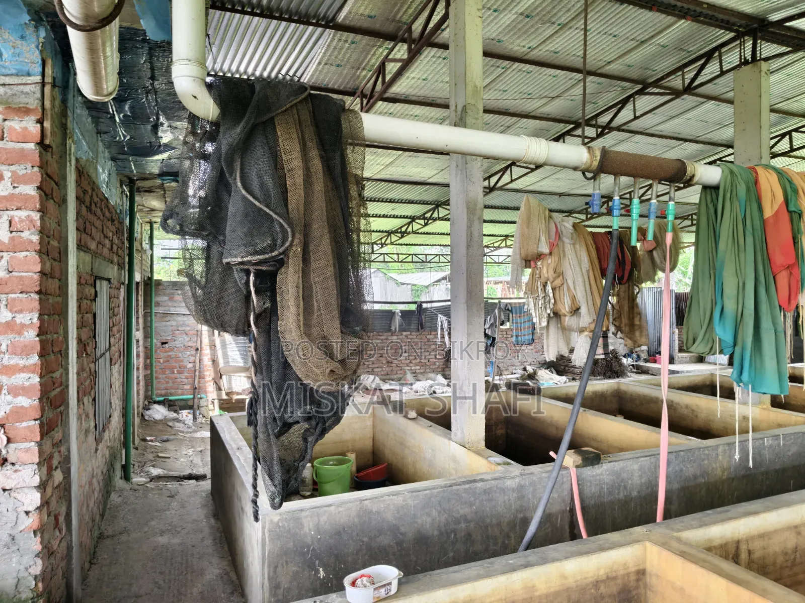 মাছের হ্যাচারি