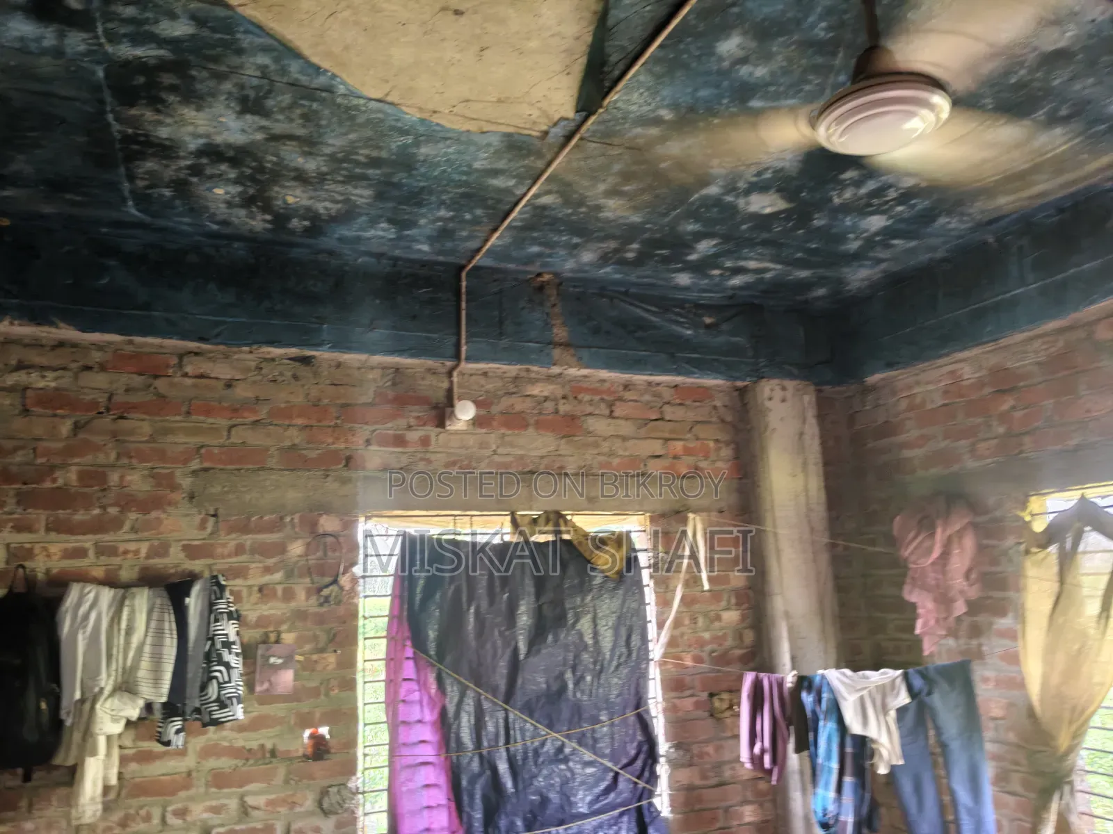 মাছের হ্যাচারি
