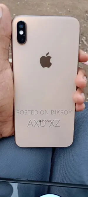 অ্যাপল আইফোন এক্সএস ম্যাক্স ২৫৬ জিবি রোজ গোল্ড