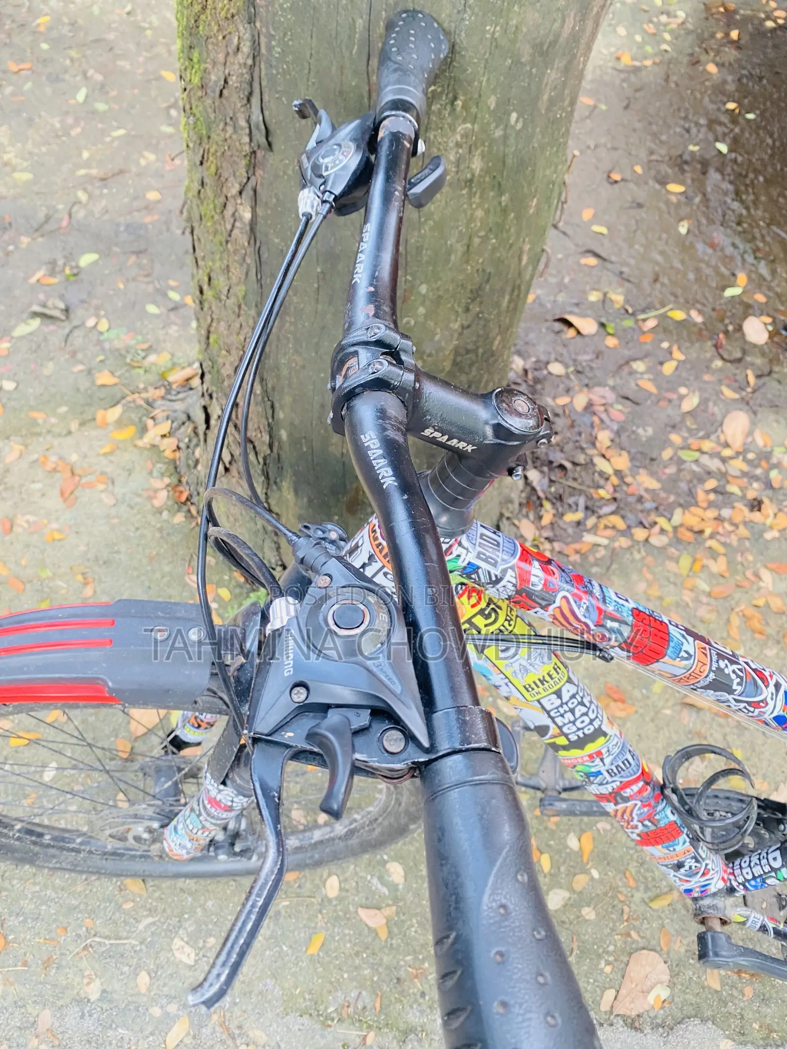 Duranta Spark Cycle