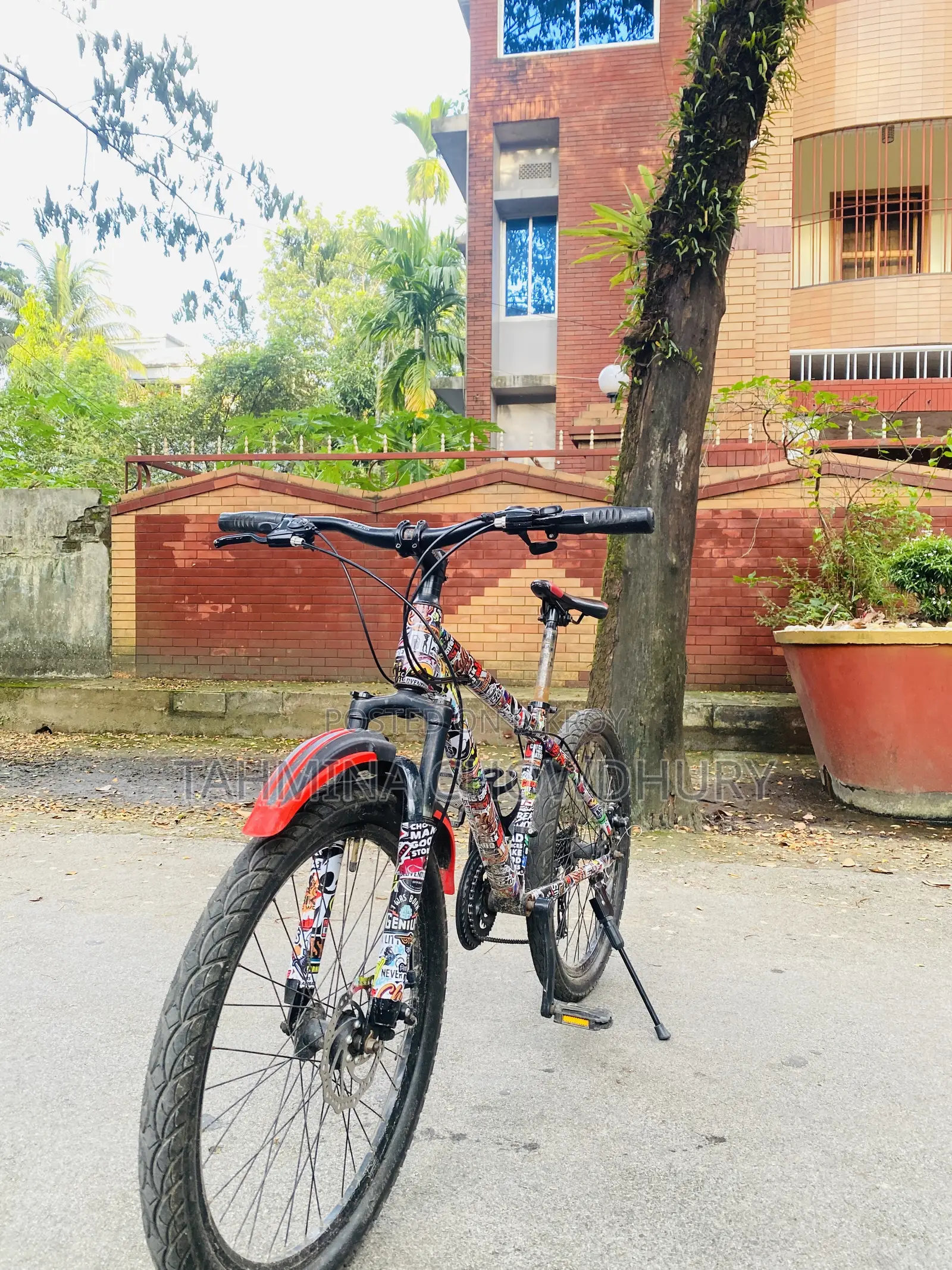 Duranta Spark Cycle