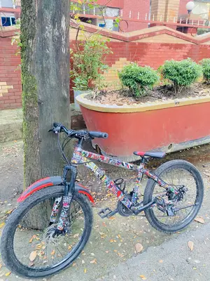 Duranta Spark Cycle