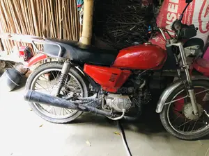 দায়াং ডিওয়াই১০০-এ ২০১০ রেড