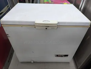 হুইরপুল ডিপ ফ্রিজ ৩০০ লিটার