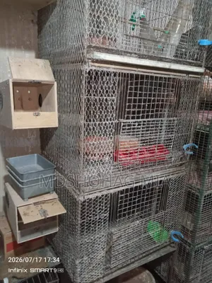 খাচা বিক্রি করা হবে