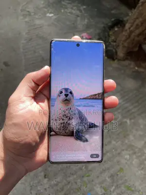 Infinix Hot 50 Pro+ 4G 256 GB Gray
