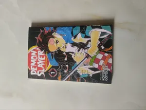 Demon Slayer Volume 1