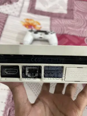PS4 Slim 500GB Jailbroken (Glacier White Limited Edition)