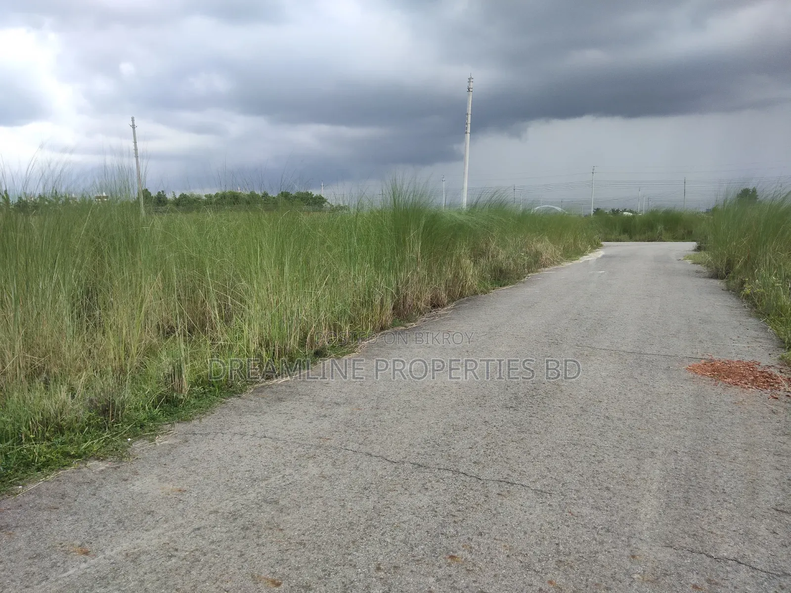 এন-ব্লকে কমিউনিটি পার্কের সন্নিকটে ৩ কাঠা প্লট বিক্রয় বসুন্ধরা আ/এ