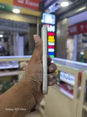 অ্যাপল আইফোন ১৭ প্রো ২৫৬ জিবি সিলভার