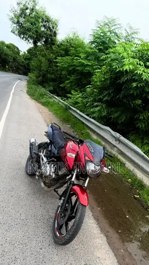 বাজাজ পালসার ১৫০ ২০১২ রেড
