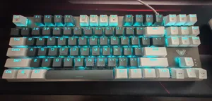 AULA F3287 TKL Mechanical Gaming Keyboard