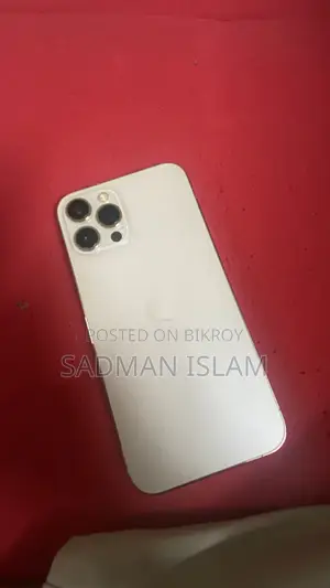 অ্যাপল আইফোন ১২ প্রো ম্যাক্স ২৫৬ জিবি রোজ গোল্ড