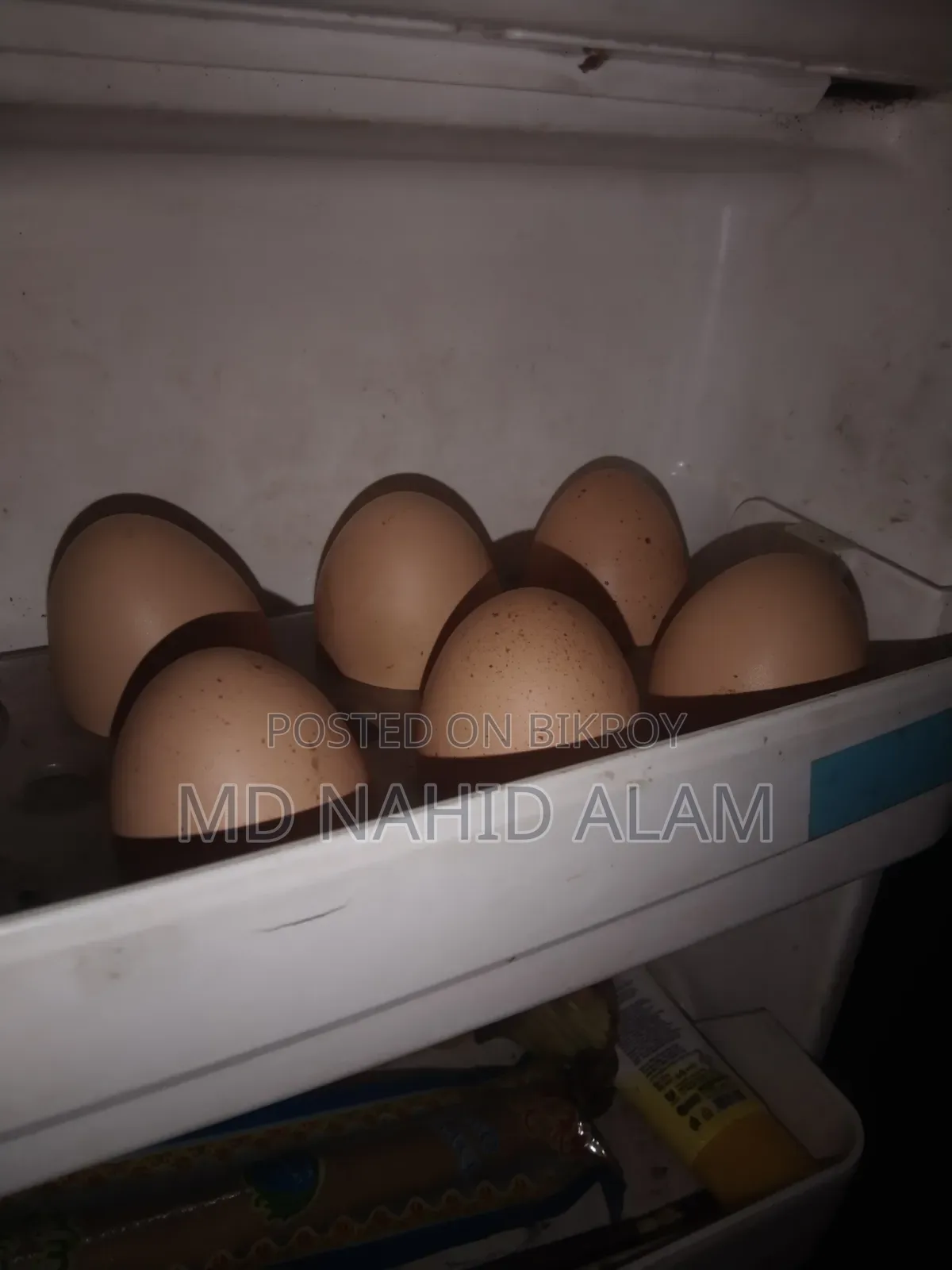 ব্রাহামা মুরগির বিচ ডি