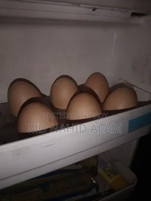 ব্রাহামা মুরগির বিচ ডি