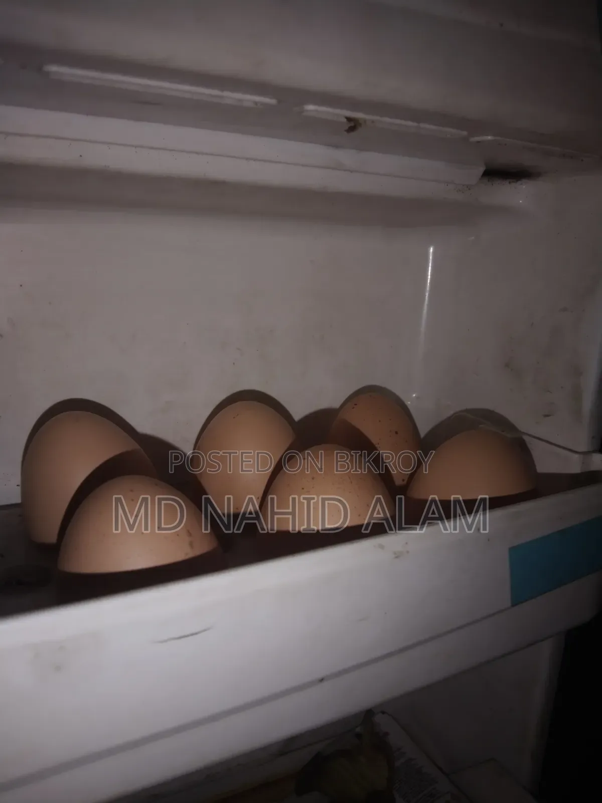 ব্রাহামা মুরগির বিচ ডি