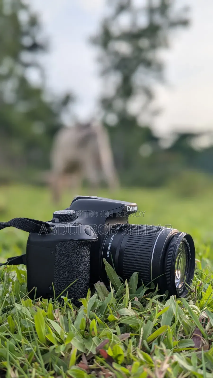 ক্যানন রেবেল টি৬