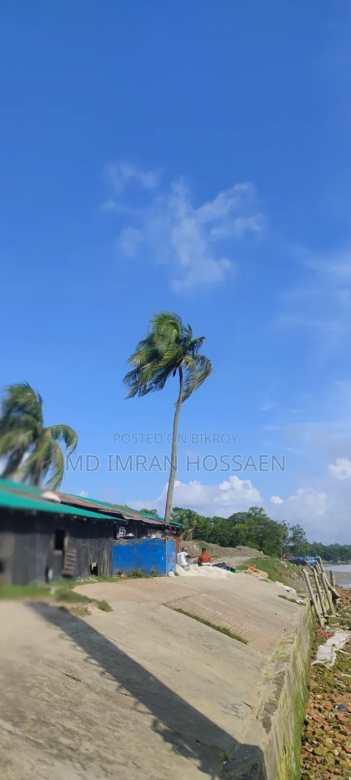 শাওমি রেডমি নোট ১১ প্রো প্লাস ৫জি ২৫৬ জিবি ব্লু