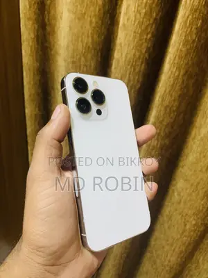 অ্যাপল আইফোন ১৩ প্রো ২৫৬ জিবি সিলভার