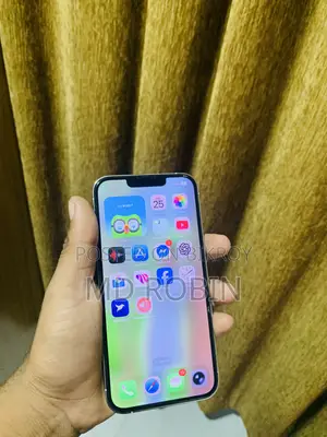 অ্যাপল আইফোন ১৩ প্রো ২৫৬ জিবি সিলভার