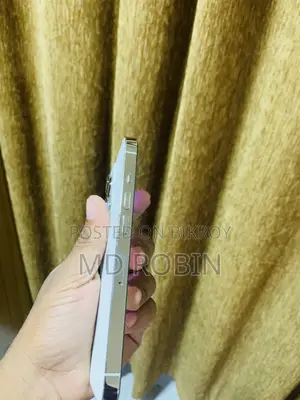 অ্যাপল আইফোন ১৩ প্রো ২৫৬ জিবি সিলভার