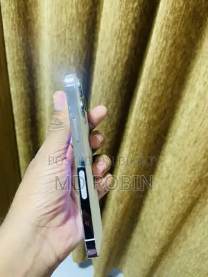 অ্যাপল আইফোন ১৩ প্রো ২৫৬ জিবি সিলভার