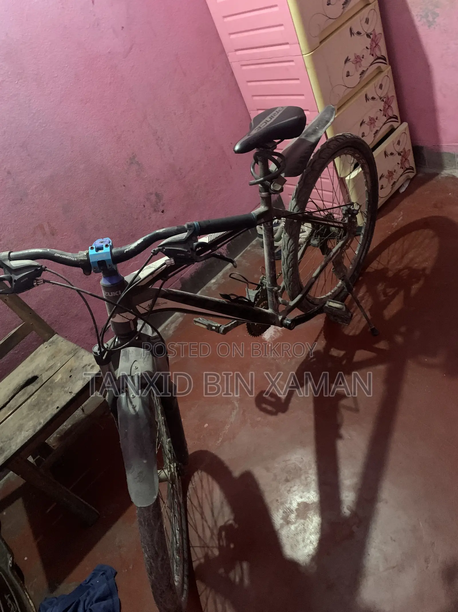 ফিনিক্স সাইকেল