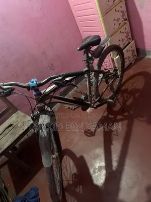 ফিনিক্স সাইকেল