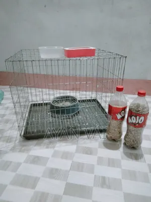 পাখির খাচা