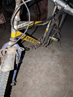 বিক্রির জন্য Phoenix সাইকেল