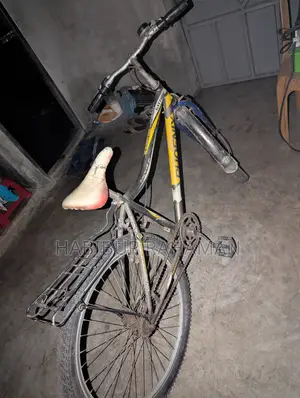 বিক্রির জন্য Phoenix সাইকেল