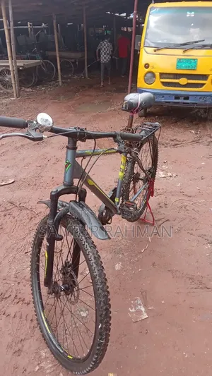 Bicycle for Adults