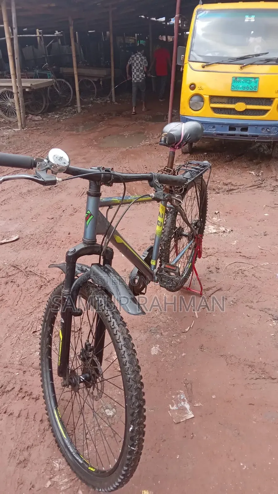 Bicycle for Adults
