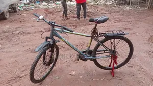 Bicycle for Adults