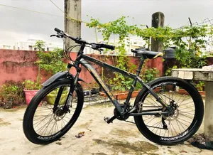 ফিনিক্স ডাস্টার- একটি সাইকেল। ২৬