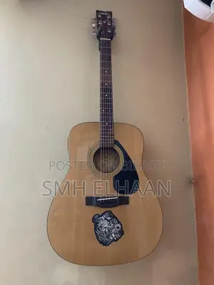 Guitar F310